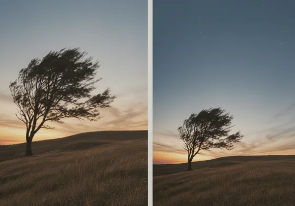 Portrait and wide painting crops